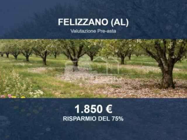 Terreno in vendita a Felizzano, Alessandria