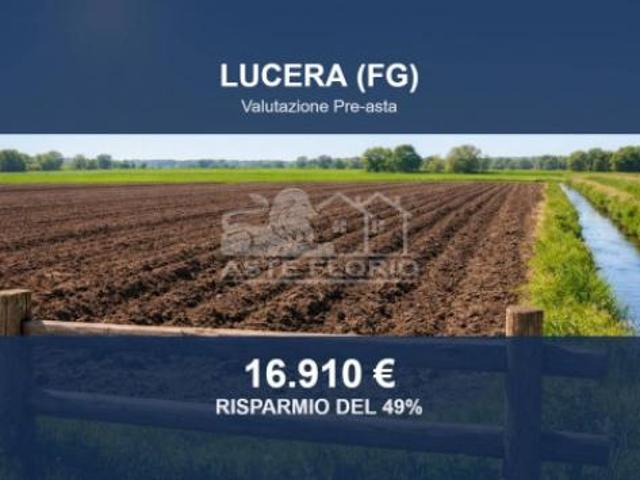 Terreno in vendita a Puglia, Foggia