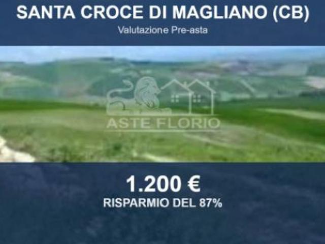 Terreno in vendita a Santa Croce Di Magliano, Molise