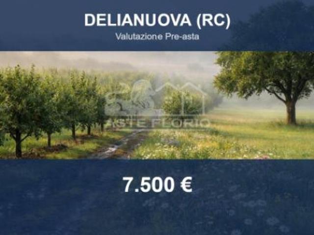 Terreno in vendita a Calabria, Reggio Calabria
