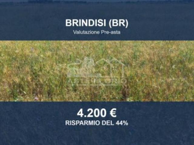 Terreno in vendita a Puglia, Brindisi