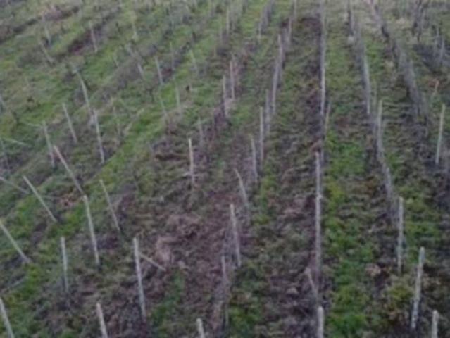 Terreno in vendita a Rovescala, Lombardia