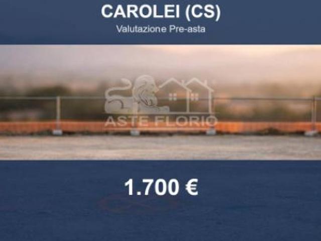 Terreno in vendita a Calabria, Cosenza