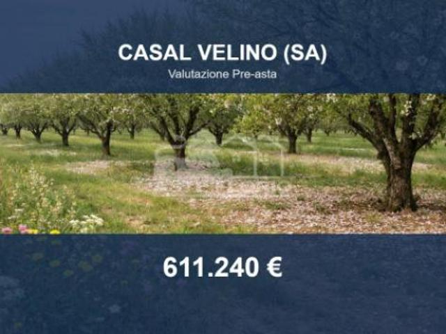 Terreno in vendita a Casal Velino, Salerno