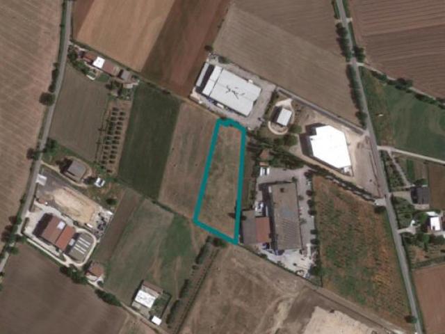 Terreno in vendita a Alife, Campania