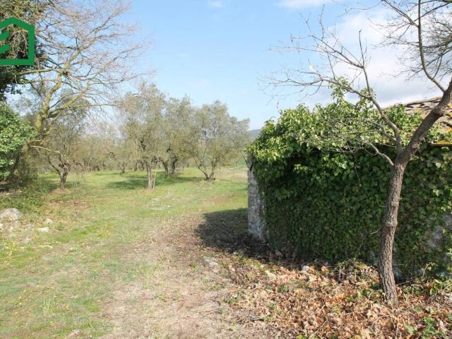 Locale Commerciale in vendita a Amelia, Umbria