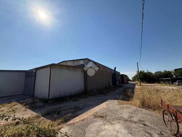 Locale Commerciale in vendita a Puglia, Foggia