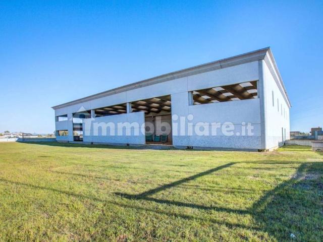 Locale Commerciale in vendita a Campo di Carne, Aprilia