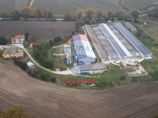 Locale Commerciale in vendita a Marche, Ancona