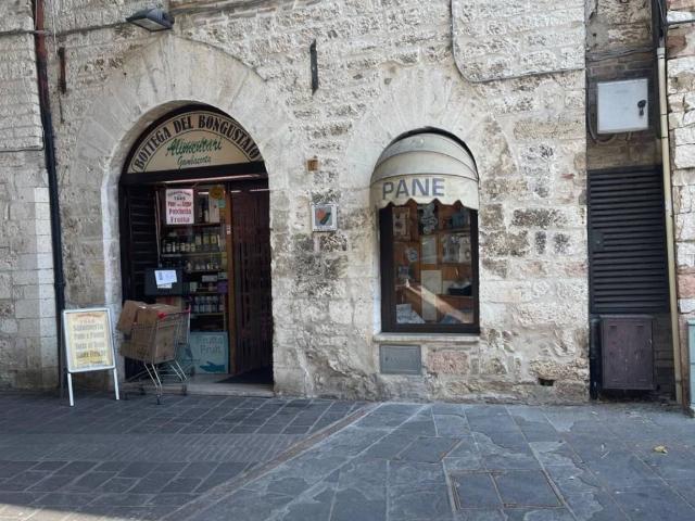 Locale Commerciale in vendita a Assisi, Umbria