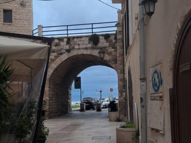Locale Commerciale in vendita a Municipio 1, Puglia