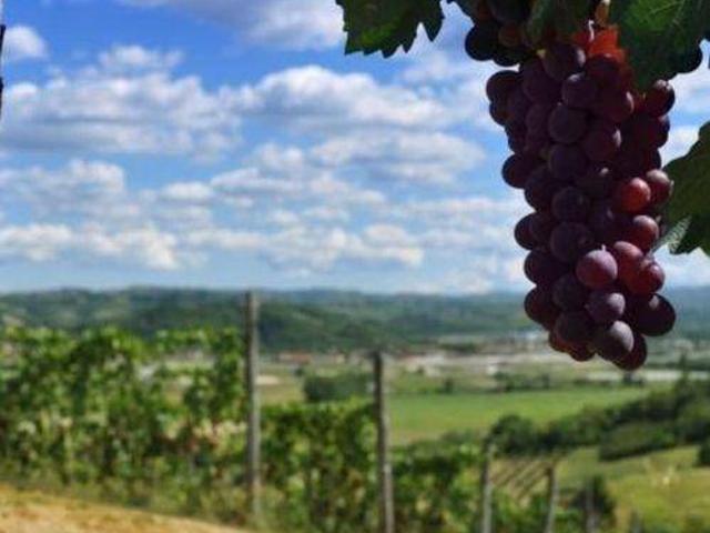 Locale Commerciale in vendita a Piemonte, Cuneo