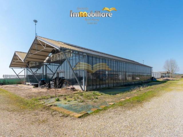 Locale Commerciale in vendita a Piemonte, Alessandria