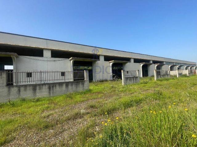 Locale Commerciale in vendita a Puglia, Barletta-andria-trani
