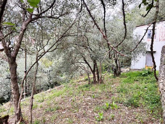 Locale Commerciale in vendita a Poggio Favaro, Bogliasco
