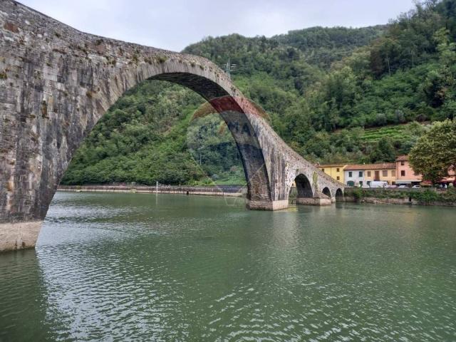 Locale Commerciale in vendita a Unione dei comuni Media Valle del Serchio, Borgo A Mozzano
