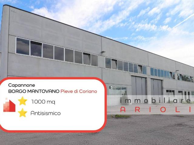 Locale Commerciale in vendita a Borgo Mantovano, Pieve Di Coriano