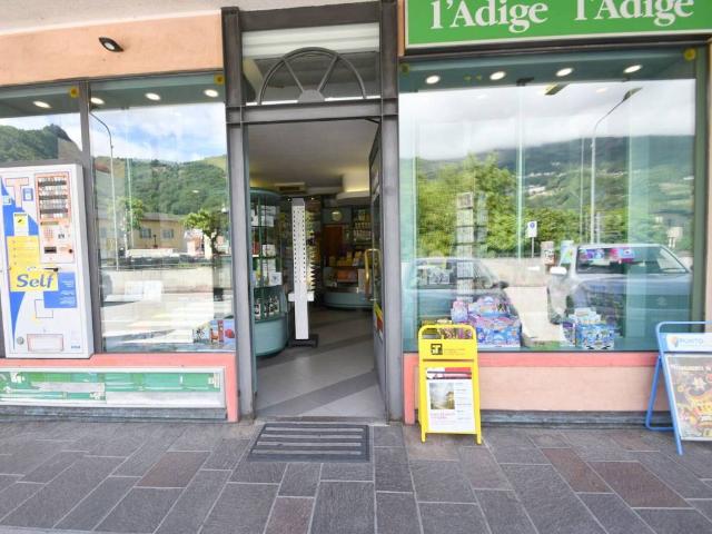 Locale Commerciale in vendita a Comunità Valsugana e Tesino, Borgo Valsugana