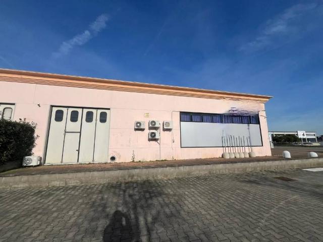 Locale Commerciale in vendita a Oltrarno, Calcinaia
