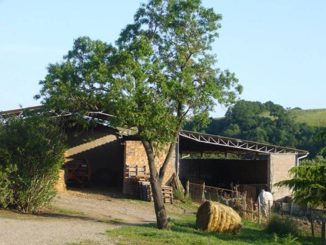 Locale Commerciale in vendita a Campagnatico, Toscana