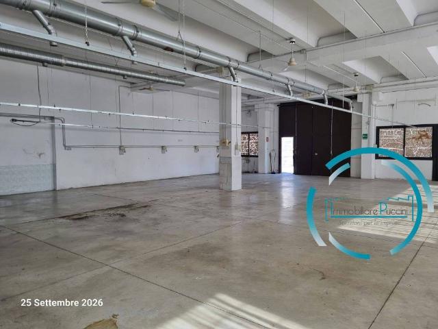 Locale Commerciale in vendita a San Lorenzo, Campi Bisenzio