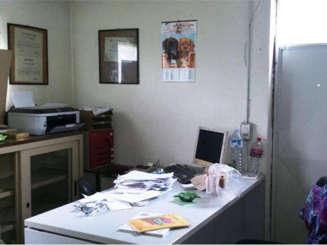 Locale Commerciale in vendita a Camigliano, Capannori