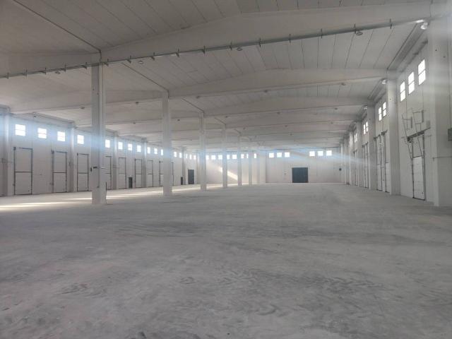 Locale Commerciale in vendita a Carinaro, Campania