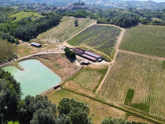 Locale Commerciale in vendita a Piemonte, Alessandria