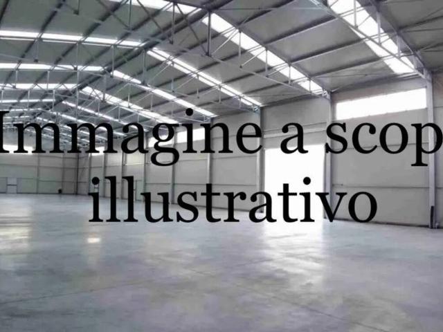 Locale Commerciale in vendita a Casale Di Scodosia, Veneto