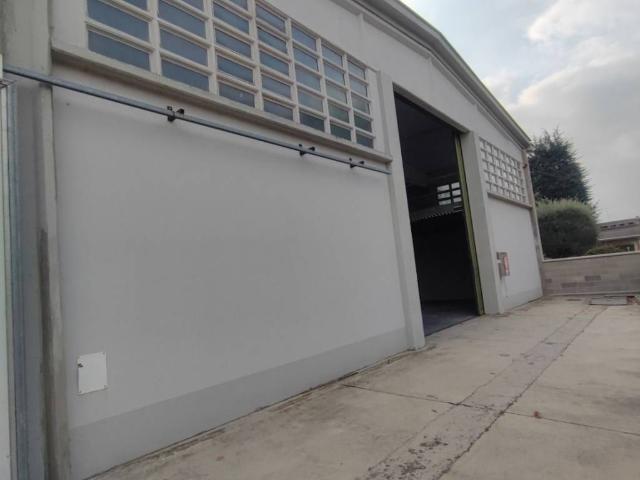 Locale Commerciale in vendita a Roncadello, Casalmaggiore