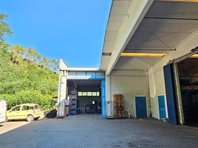 Locale Commerciale in vendita a Casarza Ligure, Liguria