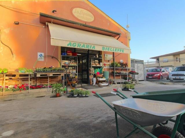 Locale Commerciale in vendita a Casciana Terme Lari, Cevoli