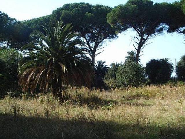 Locale Commerciale in vendita a Bolgheri, Toscana