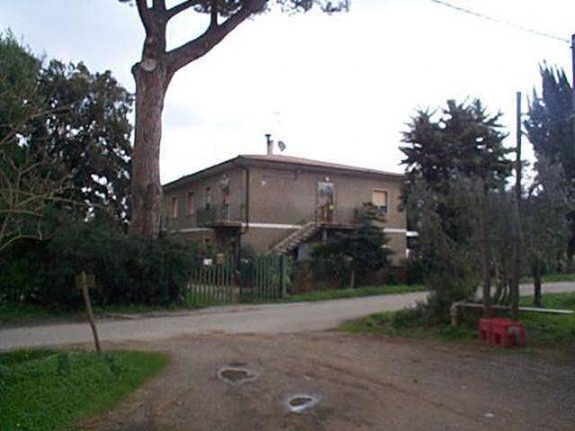 Locale Commerciale in vendita a Bolgheri, Toscana
