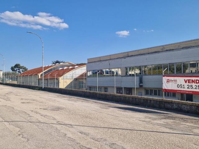 Locale Commerciale in vendita a Cerretano, Marche