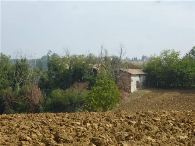 Rustico in vendita a Unione di comuni Terre di Castelli, Castelvetro Di Modena