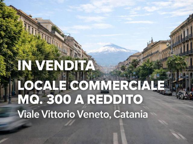 Locale Commerciale in vendita a Borgo-Sanzio, Catania