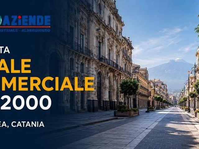 Locale Commerciale in vendita a Centro storico, Catania