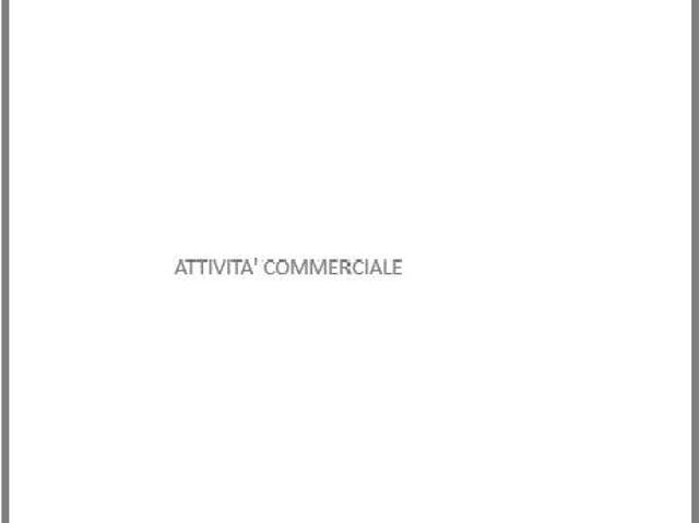 Locale Commerciale in vendita a Calabria, Catanzaro
