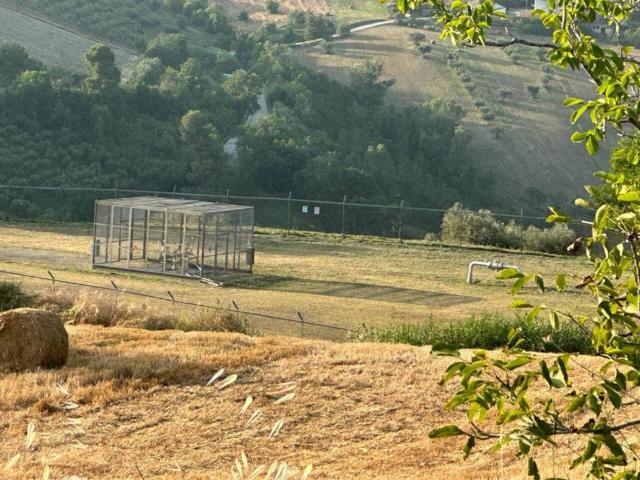 Locale Commerciale in vendita a Cellino Attanasio, Abruzzo