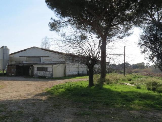 Locale Commerciale in vendita a Piane di Vaccina, Roma Capitale