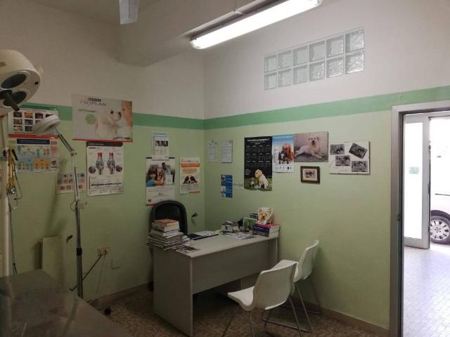 Locale Commerciale in vendita a Marche, Ancona