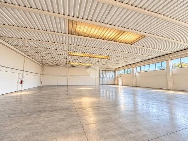 Locale Commerciale in vendita a Pozzetto, Cittadella