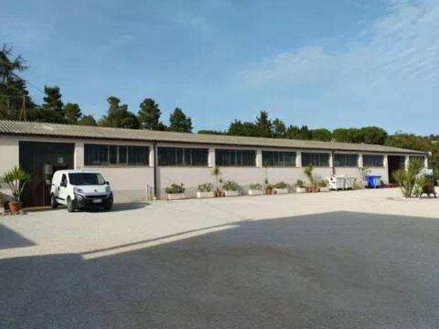 Locale Commerciale in vendita a San Gaetano, Marche