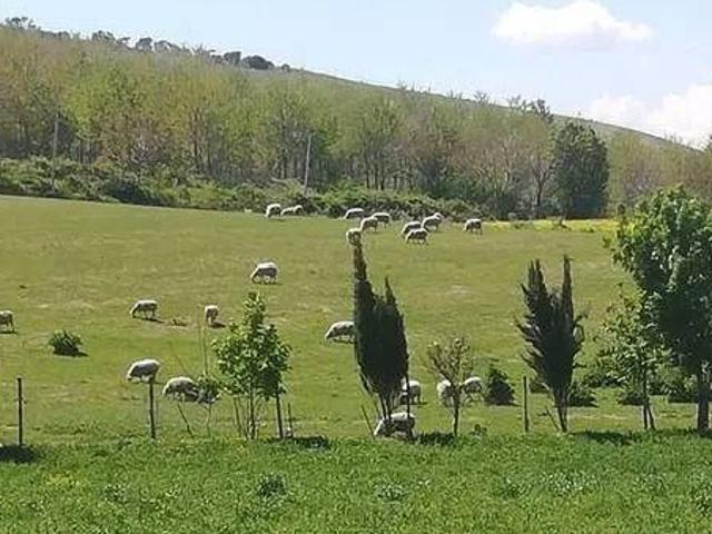 Locale Commerciale in vendita a Civitaquana, Abruzzo
