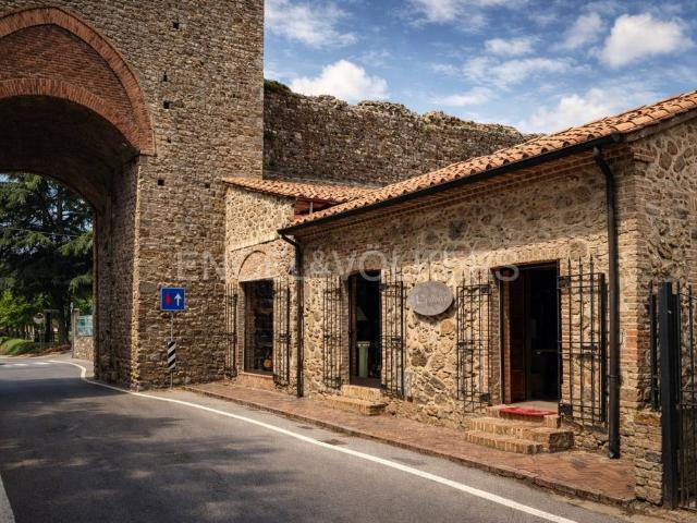 Locale Commerciale in vendita a Civitella Paganico