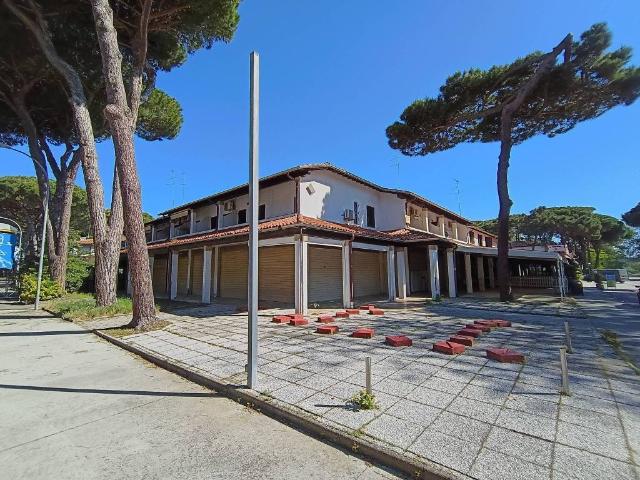Locale Commerciale in vendita a Comacchio, Reggio Emilia