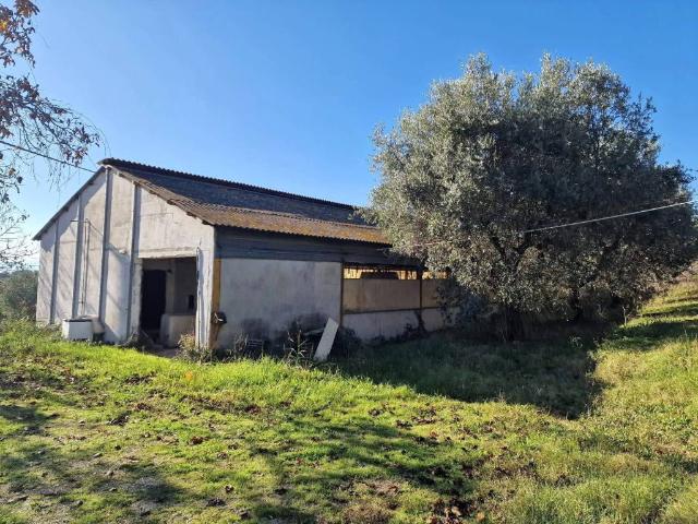 Locale Commerciale in vendita a Unione dei Comuni della Val Vibrata, Controguerra