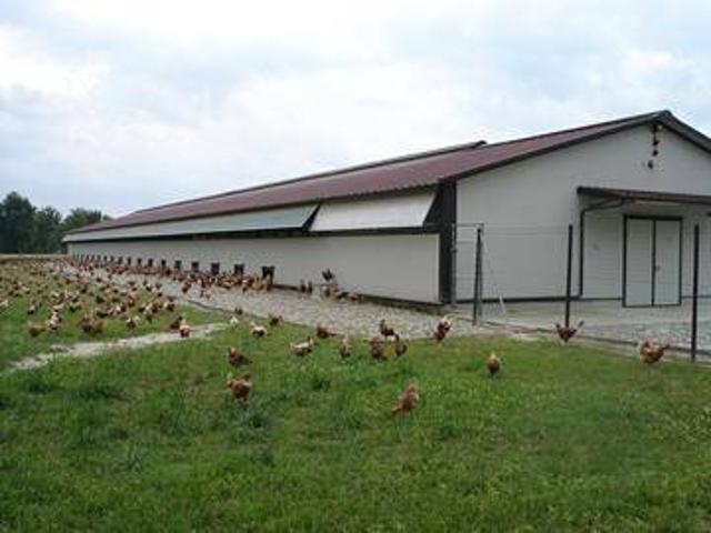 Locale Commerciale in vendita a Este, Veneto