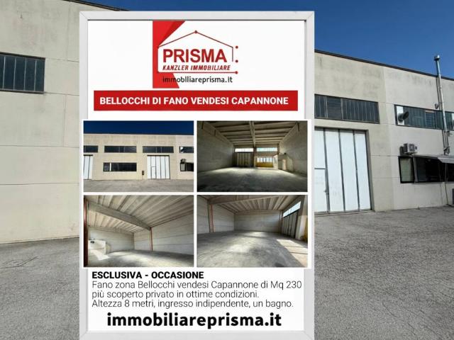 Locale Commerciale in vendita a Tre Ponti, Marche